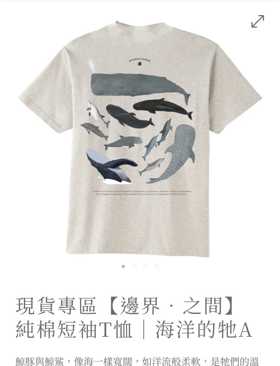 Tシャツ探しています。