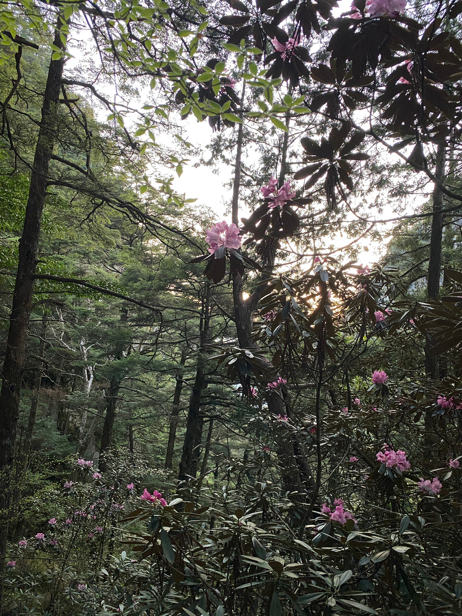 瑞牆２