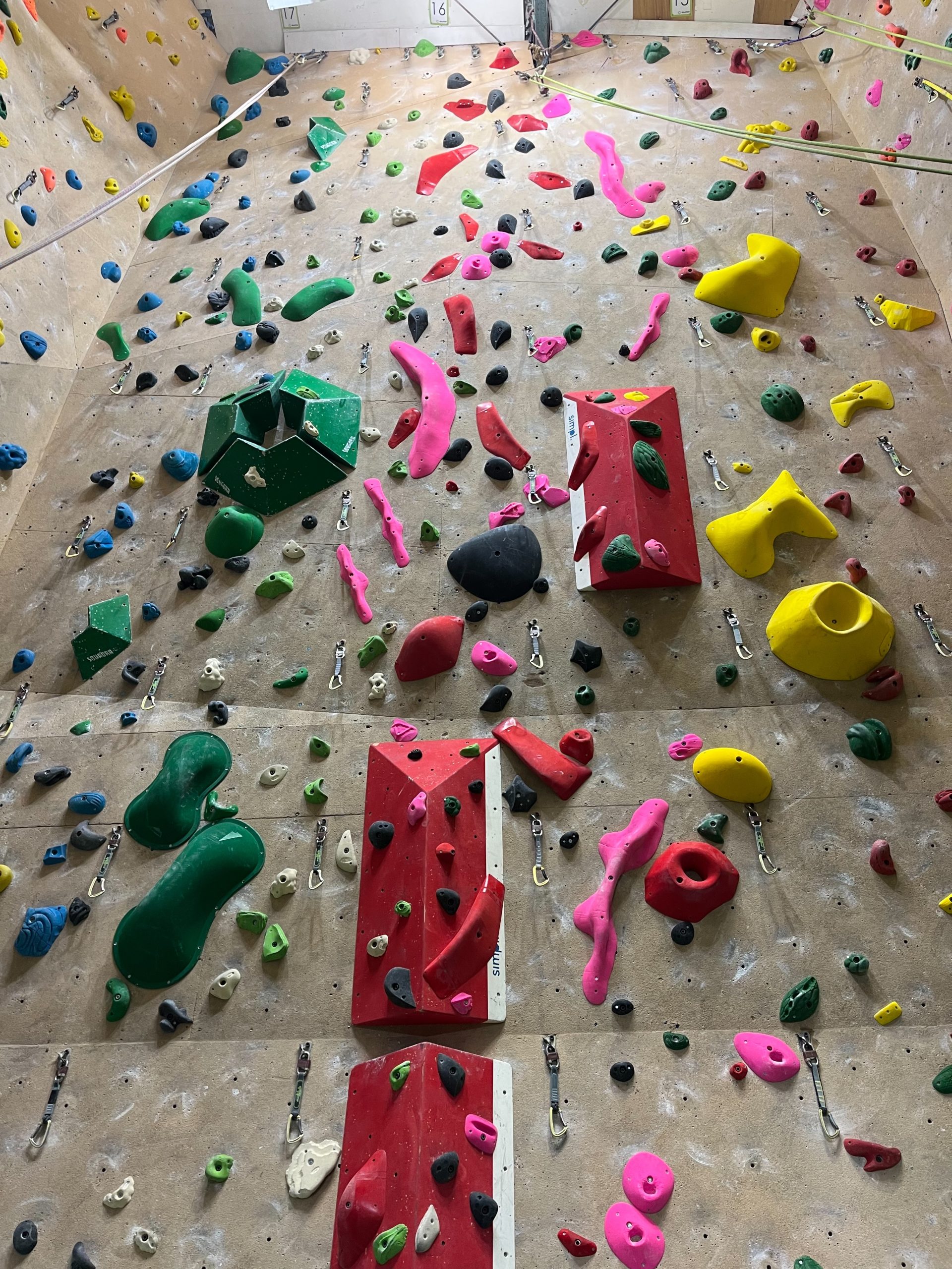 富士山ＮＥＷ ＳＥＴ