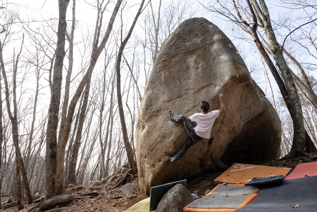 ホワイトDAYは樋口におまかせ